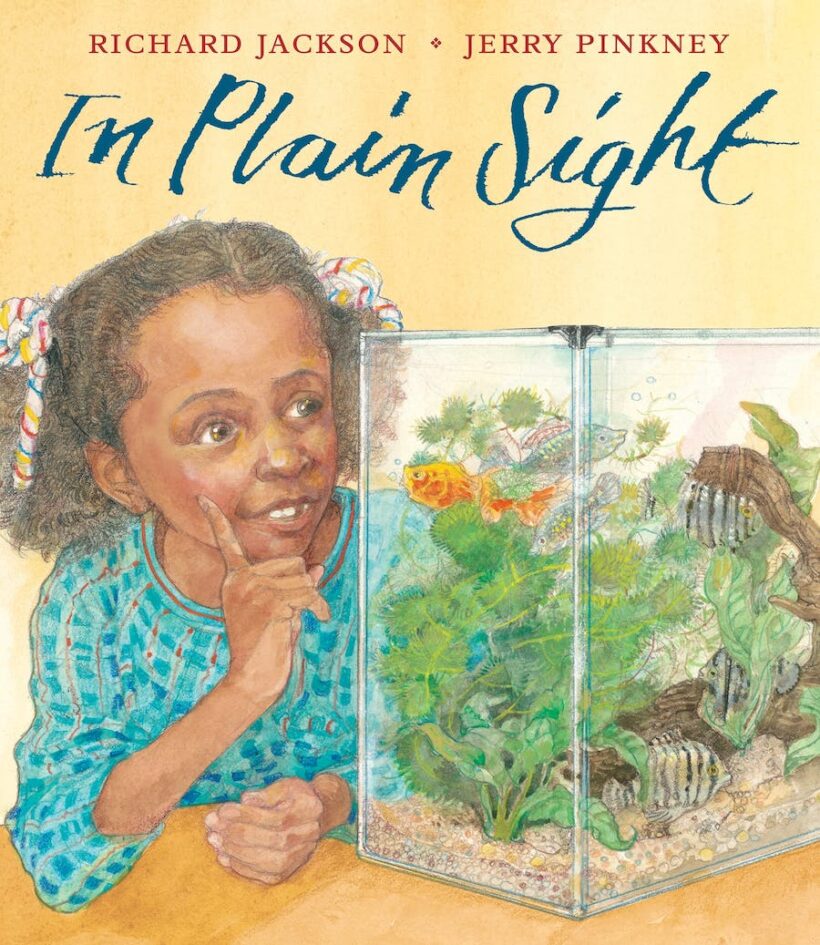 In Plain Sight - book illustrated by Black artist